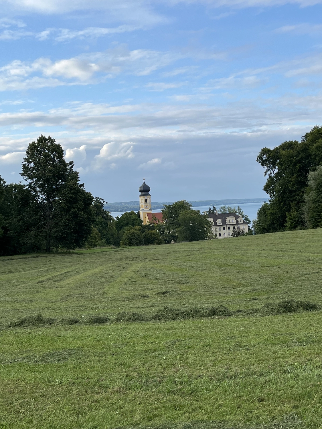 Burg