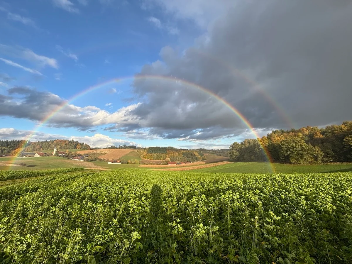 Heilpraxis Anita Bayer